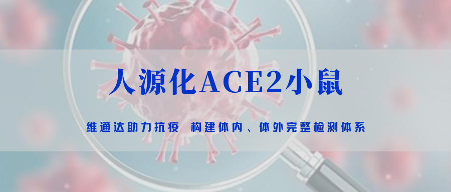 助力抗疫｜米乐官方体育appACE2小鼠模型