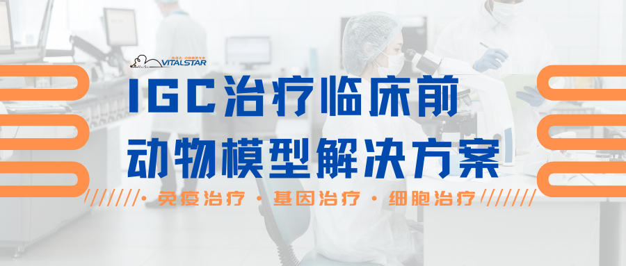 一文读懂 | IGC临床前动物模型解决方案