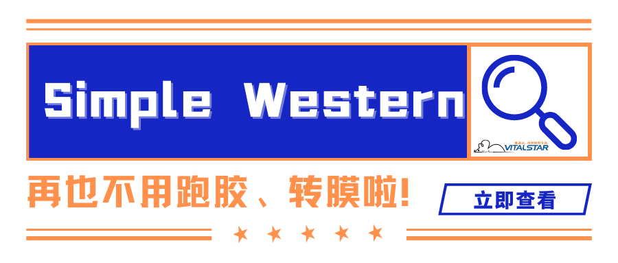 无需跑胶，无需转膜！比Western Blot更便捷、准确的Simple Western来啦！