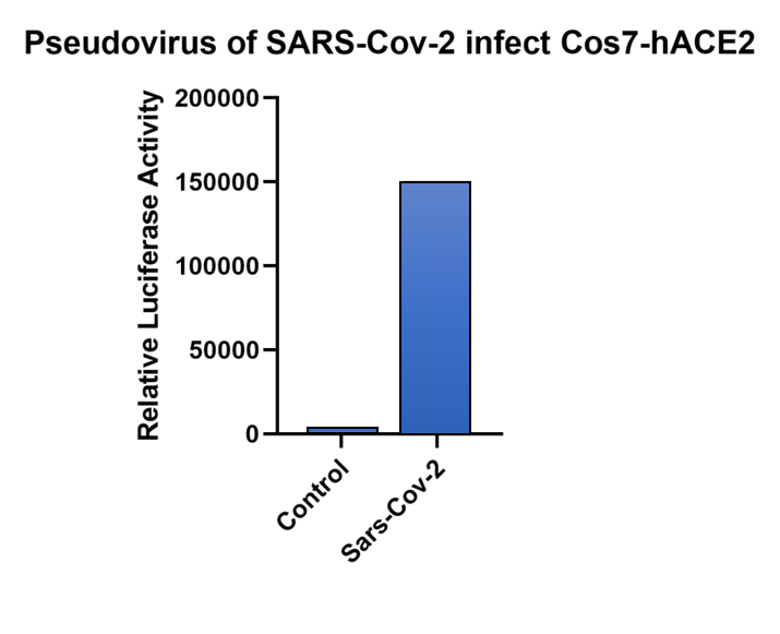 5ef85871eccf1.png b8aafa0062eabe2b5b8aab8290eabd59-sz_66716.png